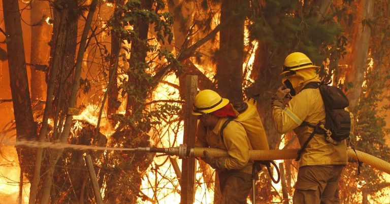 Al menos 130 hectáreas han sido consumidas en incendio forestal en zona central de Chile