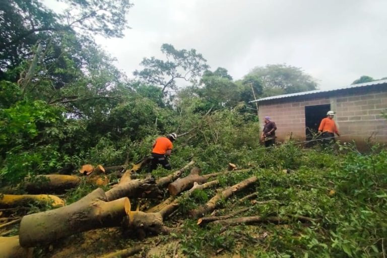 Consólidado de emergencias atendidas ante Depresión Tropical Sara